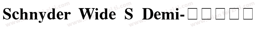 Schnyder Wide S Demi字体转换